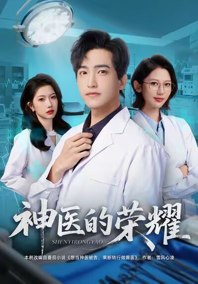 神医的荣耀海报图