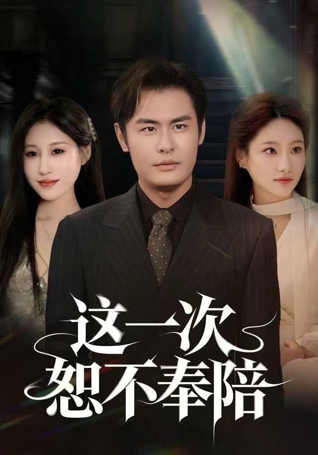 这一次恕不奉陪海报图