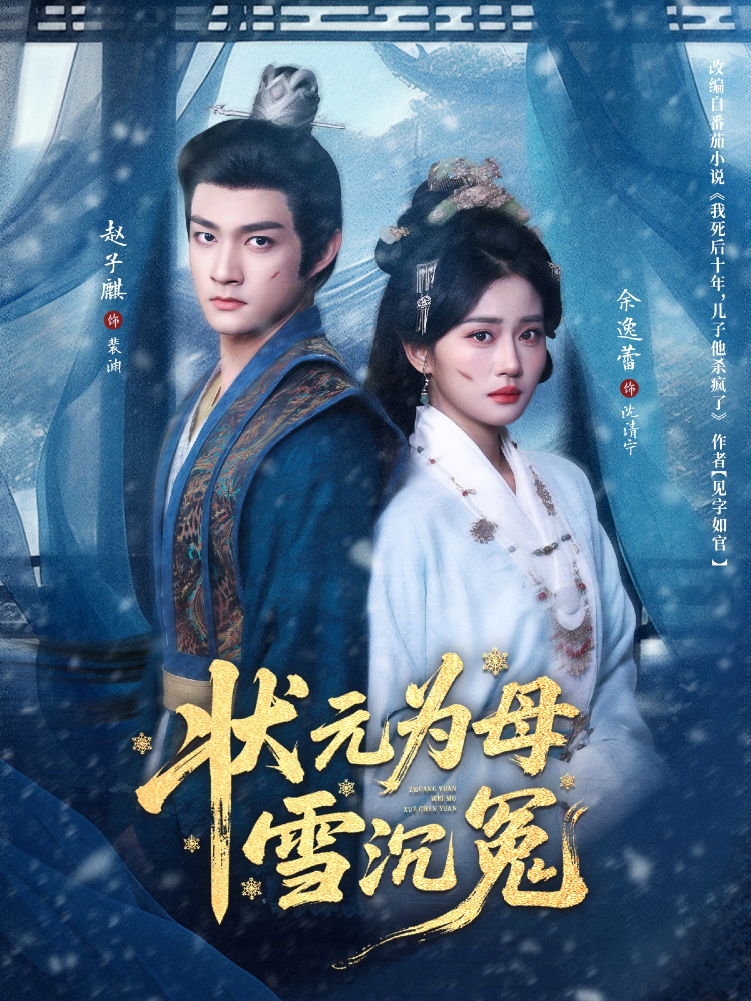 状元为母雪沉冤海报图