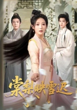 棠梨映雪迟海报图