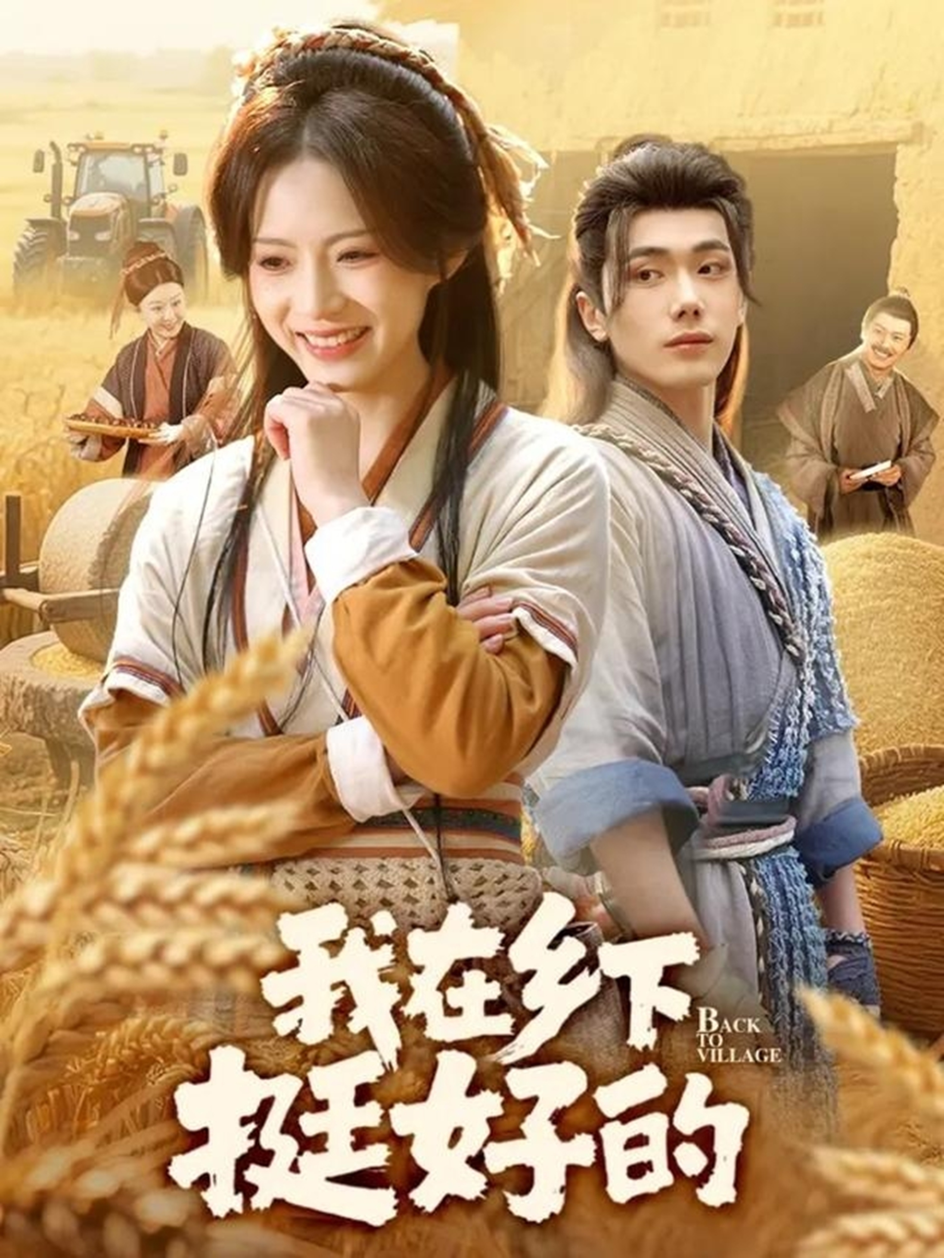 我在乡下挺好的海报图