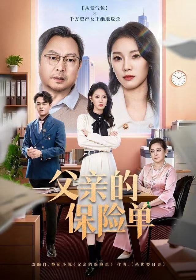 父亲的保险单海报图