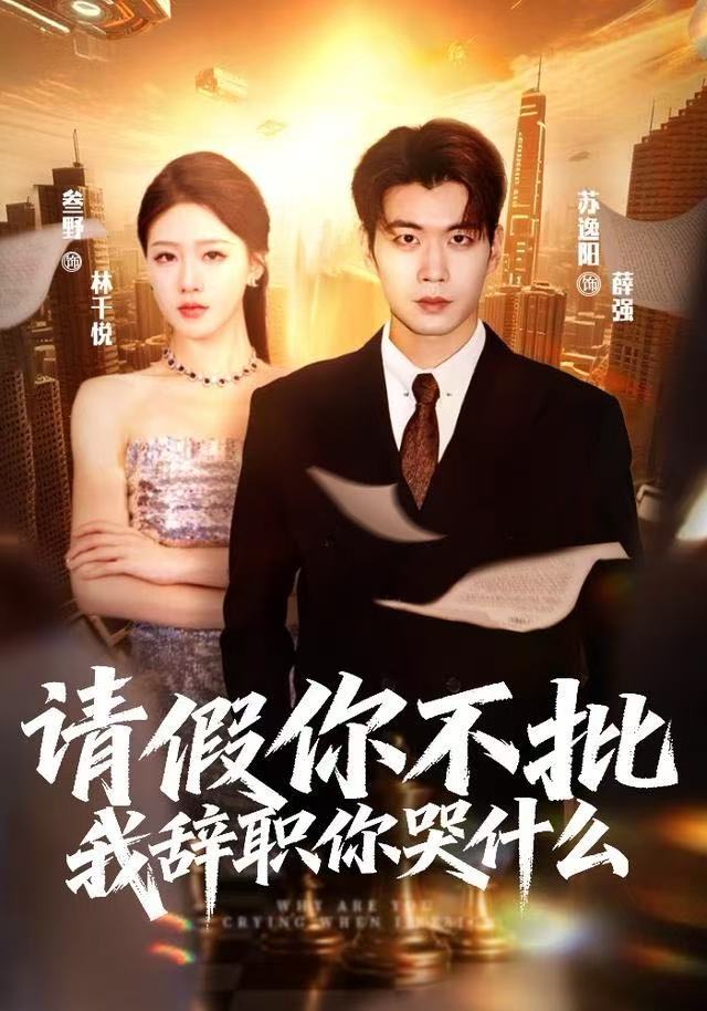 请假你不批，我辞职你哭什么海报图