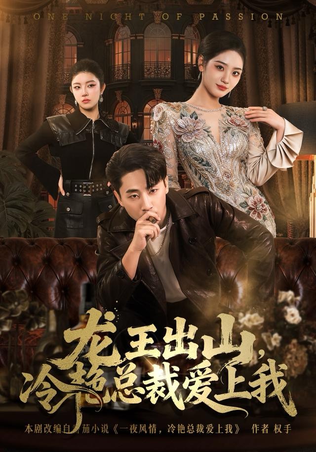 龙王出山，冷艳总裁爱上我海报图