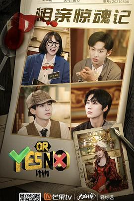yesorno封面图