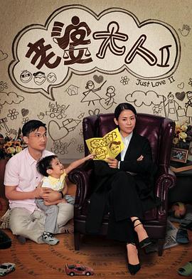 老婆大人ii封面图