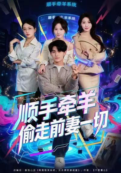 顺手牵羊偷走前妻一切海报图