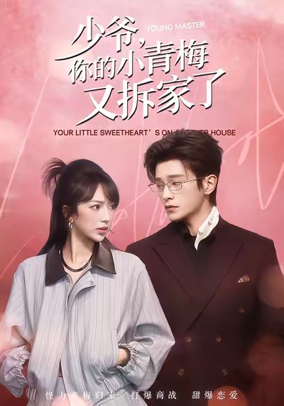 少爷，你的小青梅又拆家了海报图