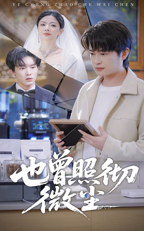 也曾照彻微尘海报图