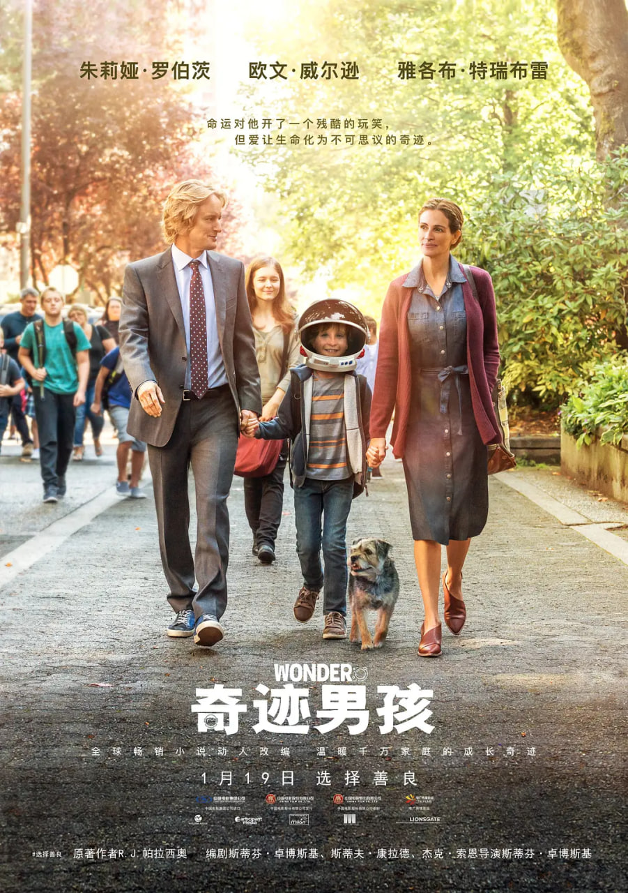 奇迹男孩 国语封面图