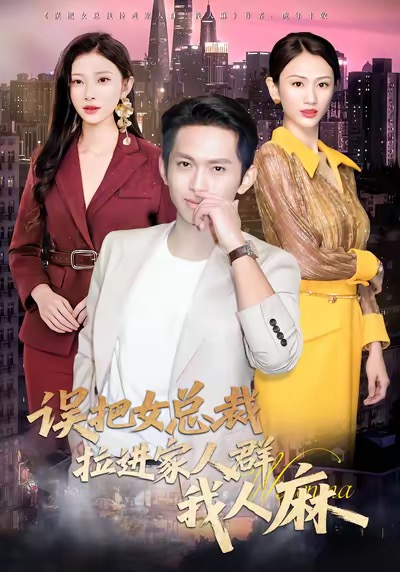 误把女总裁拉进家人群我人麻海报图