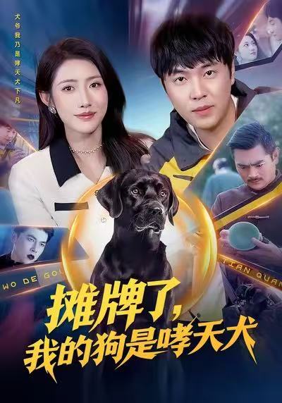 摊牌了，我的狗是哮天犬海报图