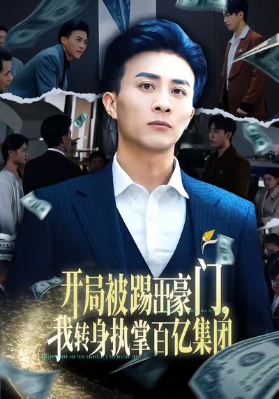 开局被踢出豪门，我转身执掌百亿集团海报图