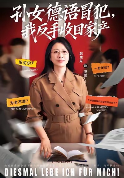 孙女冒犯我反手收回家产海报图