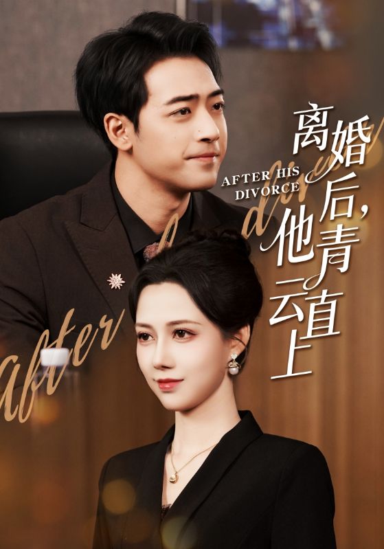 离婚后他青云直上封面图