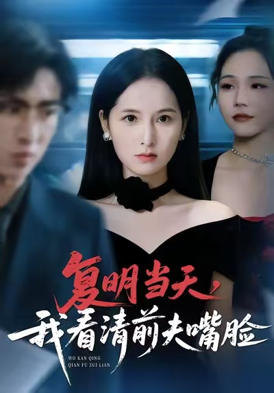 复明当天，我看清前夫嘴脸海报图