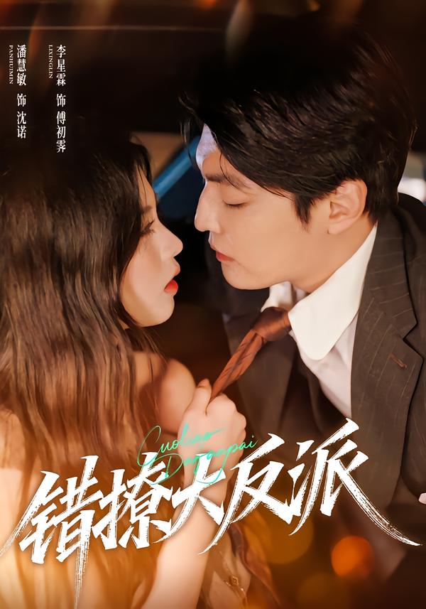 错撩大反派海报图