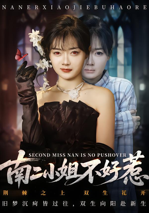 南二小姐不好惹海报图
