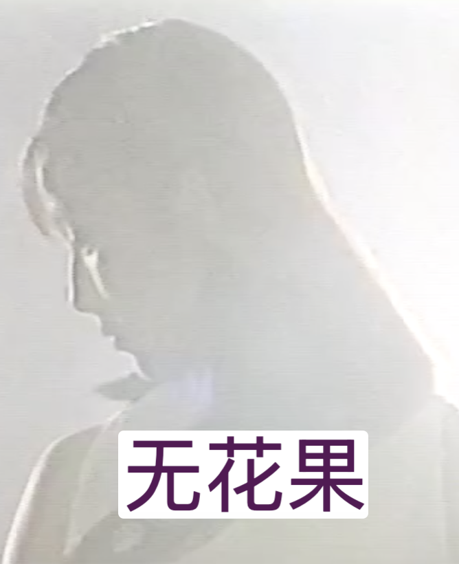 无花果（1996）海报图