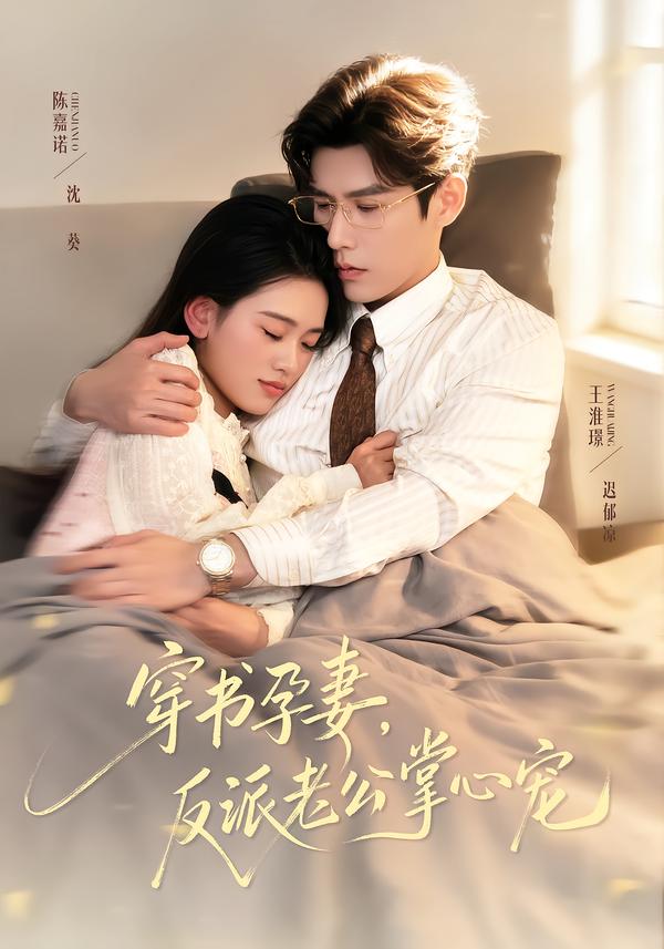 穿书孕妻，反派老公掌心宠海报图