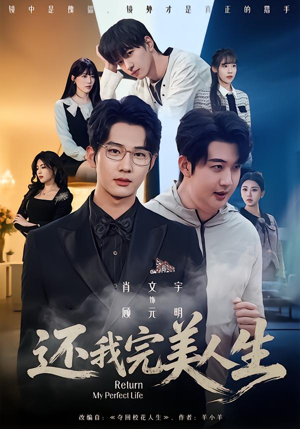 还我完美人生海报图