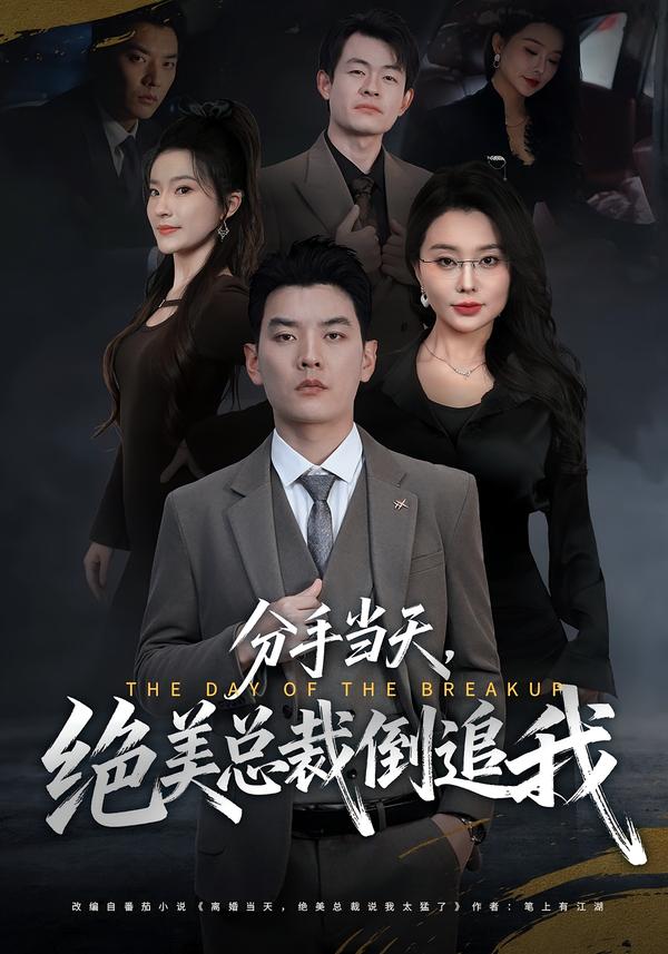 分手当天，绝美总裁倒追我海报图