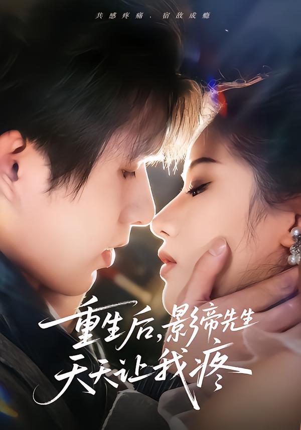 重生后，影帝先生天天让我疼海报图