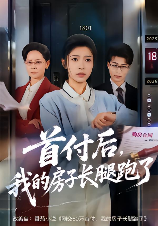 首付后，我的房子长腿跑了海报图