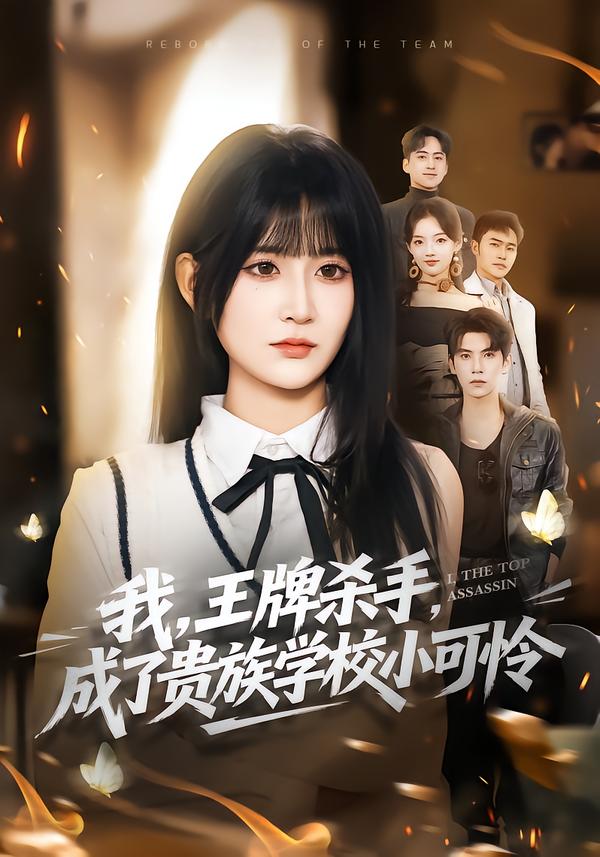 我，王牌杀手，成了贵族学校小可怜海报图