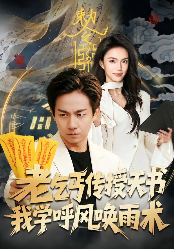 老乞丐传授天书，我学呼风唤雨术海报图
