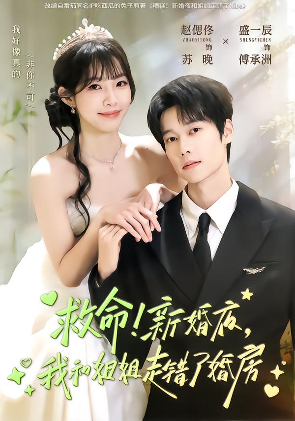 救命！新婚夜，我和姐姐走错了婚房海报图