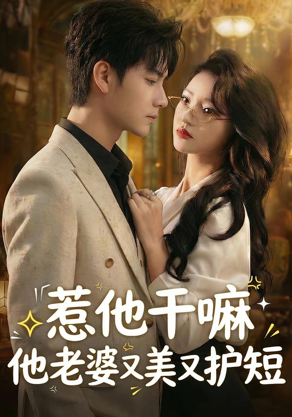 惹他干嘛他老婆又美又护短海报图