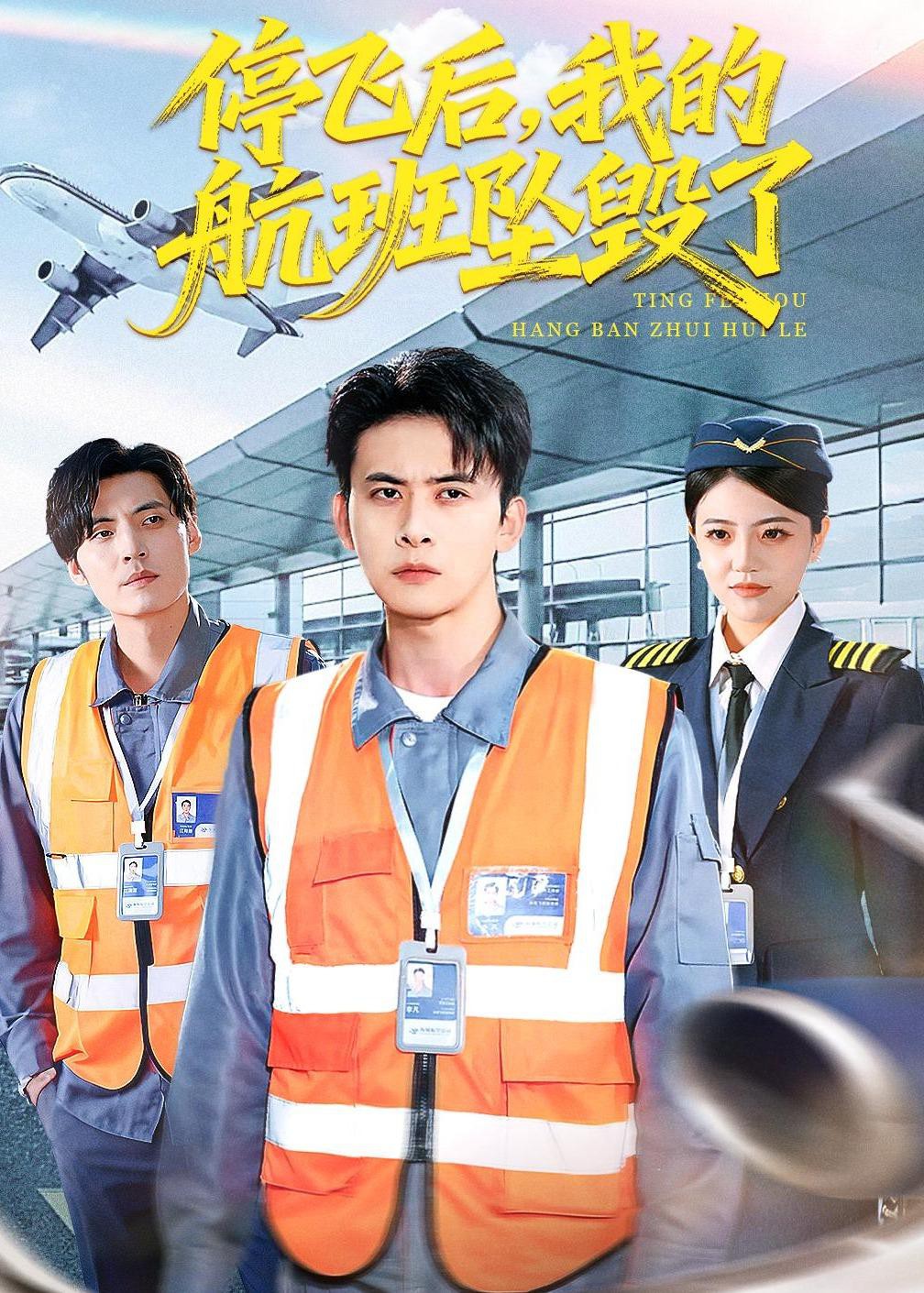 停飞后，我的航班坠毁了海报图