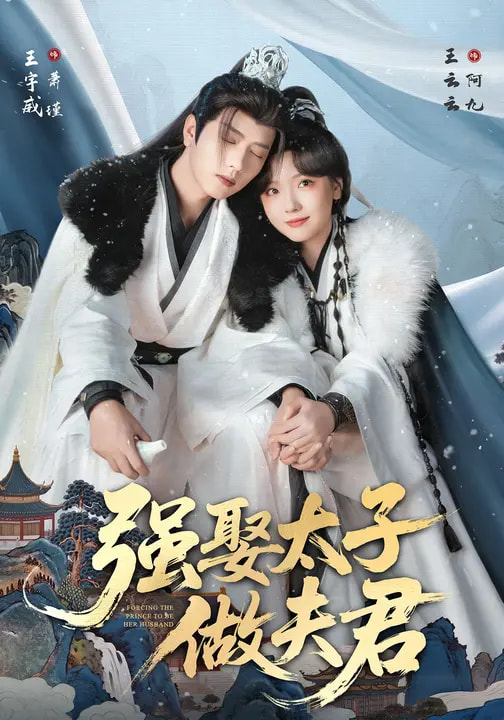 强娶太子做夫君海报图