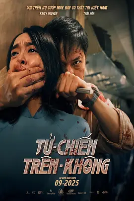 空中决战封面图