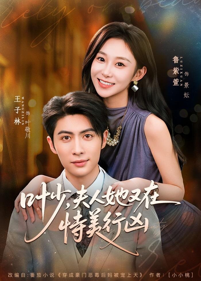 叶少，夫人她又在恃美行凶封面图