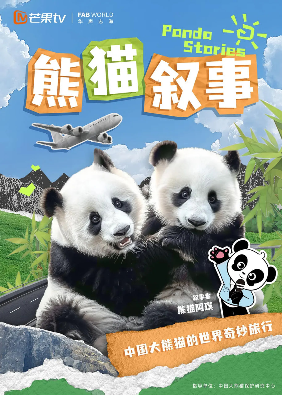 熊猫叙事海报图
