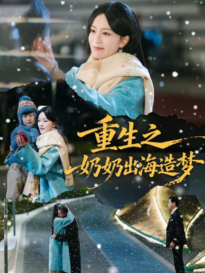 重生之奶奶出海造梦海报图