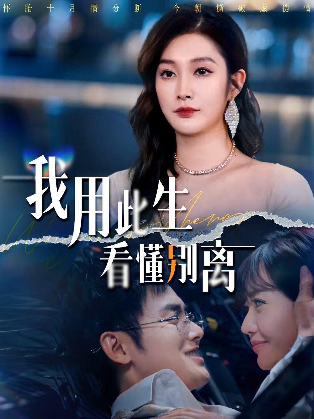 我用此生看懂别离海报图