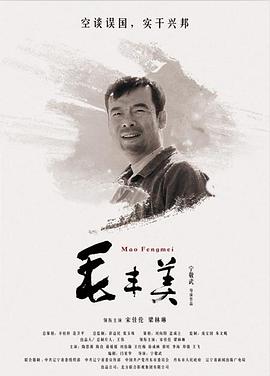 毛丰美封面图