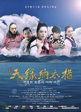 天缘纳木错封面图