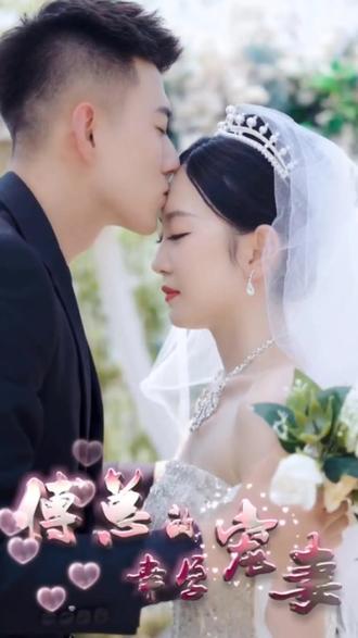 傅总的幸孕宠妻海报图