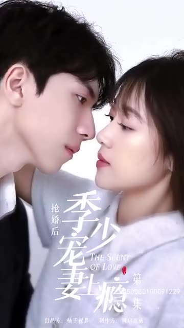 抢婚后，季少宠妻上瘾海报图