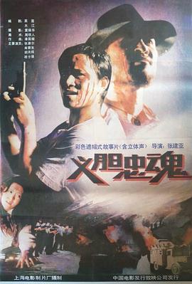 义胆忠魂封面图