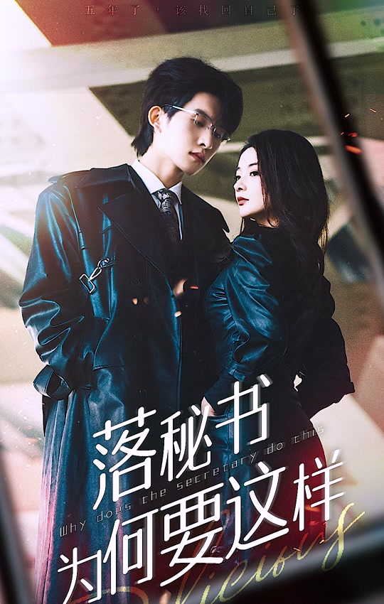 落秘书为何要这样海报图