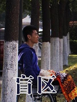 盲区封面图