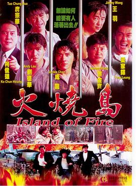 火烧岛国语封面图