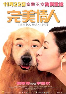 完美情人封面图