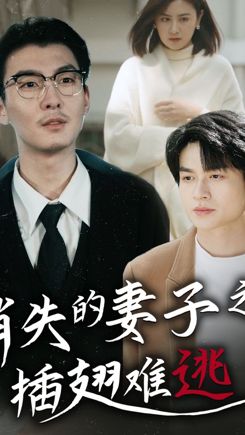 消失的妻子之插翅难逃海报图