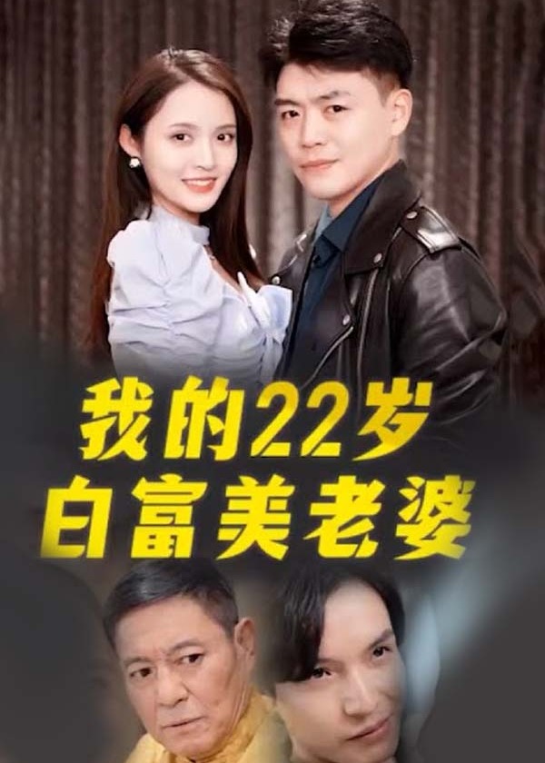 我的22岁白富美老婆海报图